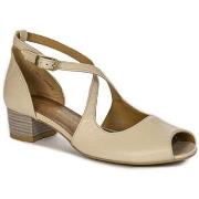 Sandaalit Maciejka  0450922001  36