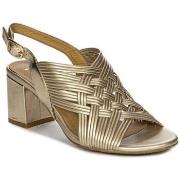 Sandaalit Maciejka  N651725001  36