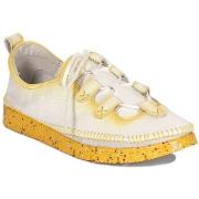 Kengät Maciejka  0638507001  36