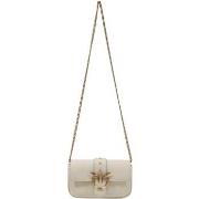 Olkalaukut Pinko  POCKET LOVE ONE SIMPLY 100061 A0F1  Yksi Koko