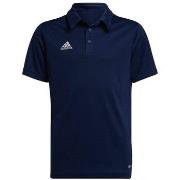 Lyhythihainen t-paita adidas  Entrada 22  EU S