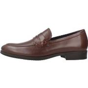 Kengät Pitillos  40221P  40