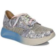 Kengät Maciejka  6776A06001  36