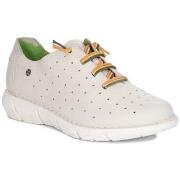 Tennarit Maciejka  P681111001  36