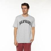 Lyhythihainen t-paita Champion  Harvard  EU M