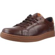 Kengät Pitillos  40251P  40