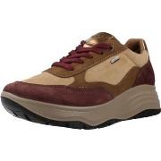 Kengät IgI&CO  8657011IG  36