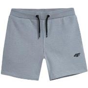 Shortsit & Bermuda-shortsit 4F  4FJSS23TSHOM04834Slekkie  Yksi Koko