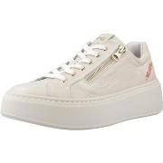 Kengät NeroGiardini  E513081D  36