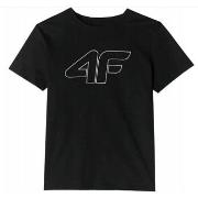 Lyhythihainen t-paita 4F  F1803GBOKACZER  Yksi Koko