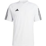 Lyhythihainen t-paita adidas  Tiro 23 Competition Jersey M  EU XXL