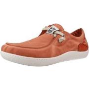 Tennarit Sunni Sabbi  KUNASH  42