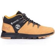 Kengät Timberland  Sprint Trekker Gtx  40