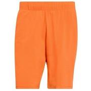 Shortsit & Bermuda-shortsit adidas  Club  EU M