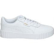 Kengät Puma  401476-01  37