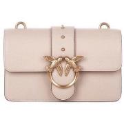 Olkalaukut Pinko  105856A0F1  Yksi Koko