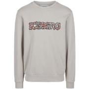 Svetari Iceberg  -  IT M