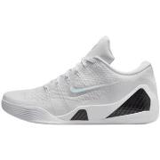 Kengät Nike  Kobe 9 Elite Low Protro Halo  40 1/2