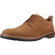 Kengät Clarks  ALDWIN LACE SUEDE  40