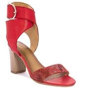 Sandaalit Maciejka  0359708005  36