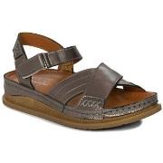 Sandaalit Maciejka  L706435001  36