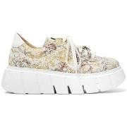 Kengät Maciejka  0689111008  36