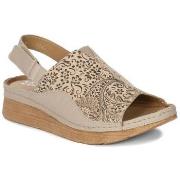 Sandaalit Maciejka  L684604001  36