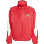 Ulkoilutakki adidas  M Stadium Tt  EU M