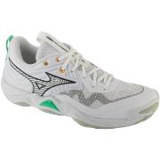 Kengät Mizuno  Wave Momentum Elite  41