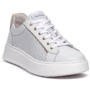 Kengät NeroGiardini  615274D707  37