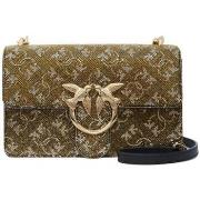 Olkalaukut Pinko  103335A20D  Yksi Koko