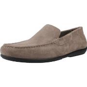 Kengät Geox  U ASCANIO  39