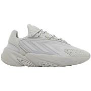 Kengät adidas  Ozelia J "Grey Two"  38