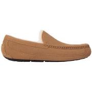 Kengät UGG  Ascot Slipper Chestnut  41