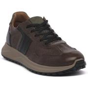 Kengät IgI&CO  SARONNO CAFFE  41