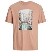 Lyhythihainen t-paita Jack & Jones  12254030  EU XXL