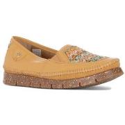 Kengät Maciejka  0586307005  36