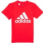 Lyhythihainen t-paita adidas  B BL T  EU S