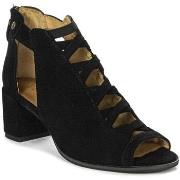 Kengät Maciejka  0645601005  37