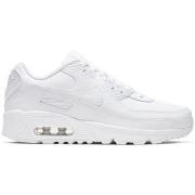Lastenkengät Nike  Air Max 90 Ltr  36