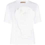 T-paidat & Poolot Rinascimento  CFC0127750003  IT S