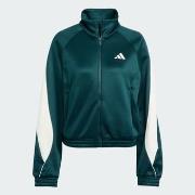Ulkoilutakki adidas  W STADIUM TT  EU XS