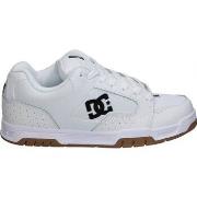 Kengät DC Shoes  EDYS100024-101 DC COILER  41