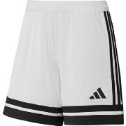 Shortsit & Bermuda-shortsit adidas  Squa25 Sho W  EU M