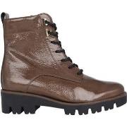 Kengät Gabor  52.055.81  36