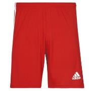 Shortsit & Bermuda-shortsit adidas  SQUAD 21 SHO  EU S
