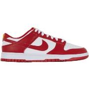 Tennarit Nike  Dunk Gym  41