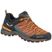 Tennarit Salewa  Mountain Trainer Lite  41
