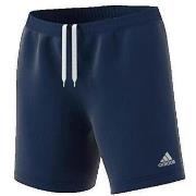 Shortsit & Bermuda-shortsit adidas  Entrada 22  EU S