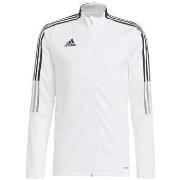 T-paidat pitkillä hihoilla adidas  T-shirt manches longues  Team Base ...